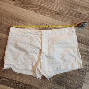 American Eagle Outfitters Shorts.  Sz~18
